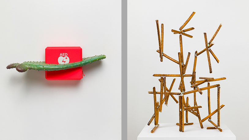 Visiting Artist Chris Bradley's art work