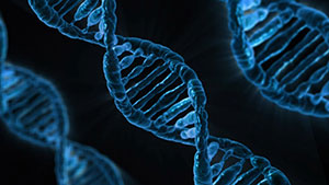 cellular biology