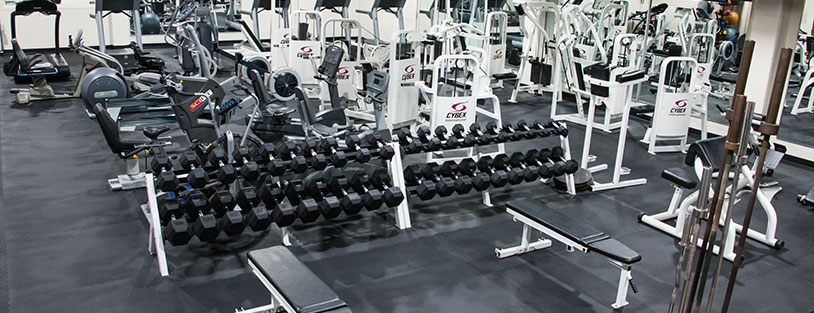 photo of Free Weight Area