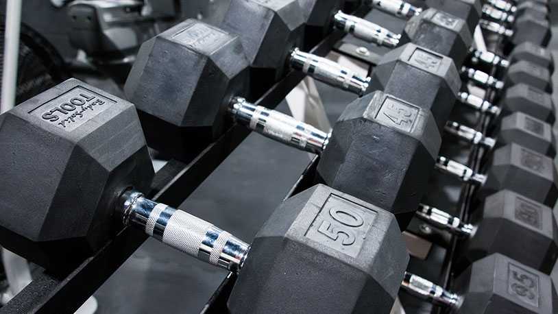 A row of free weights on a rack