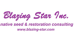 Blazing Star