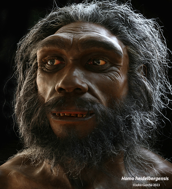 Homo heidelbergensis Gurche reconstruction, 324,000 - 274,000 Years Ago