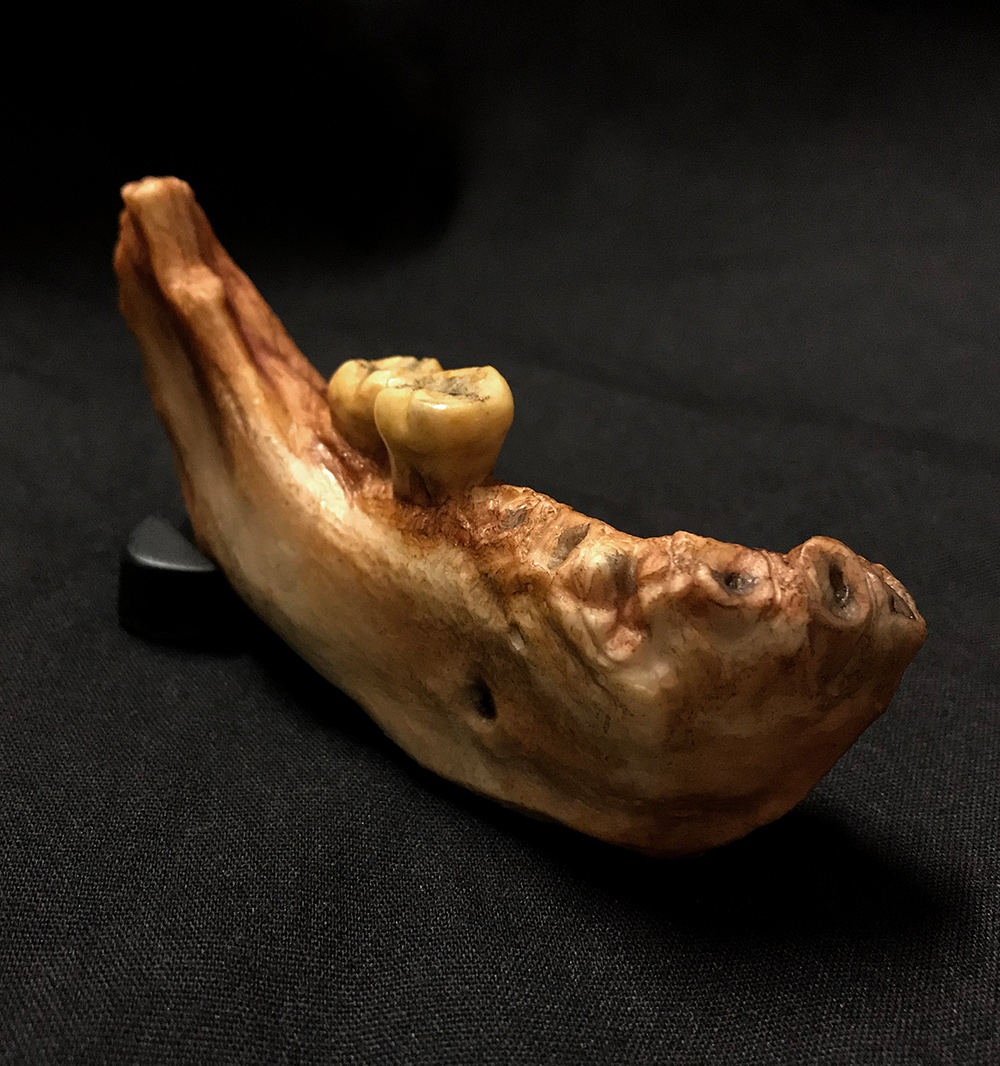 Denisovans mandible fragment