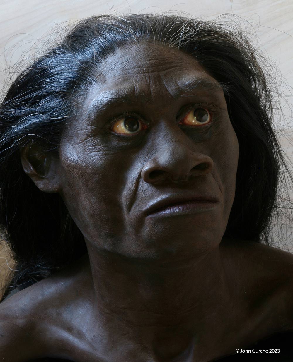 Homo floresiensis Gurche reconstruction