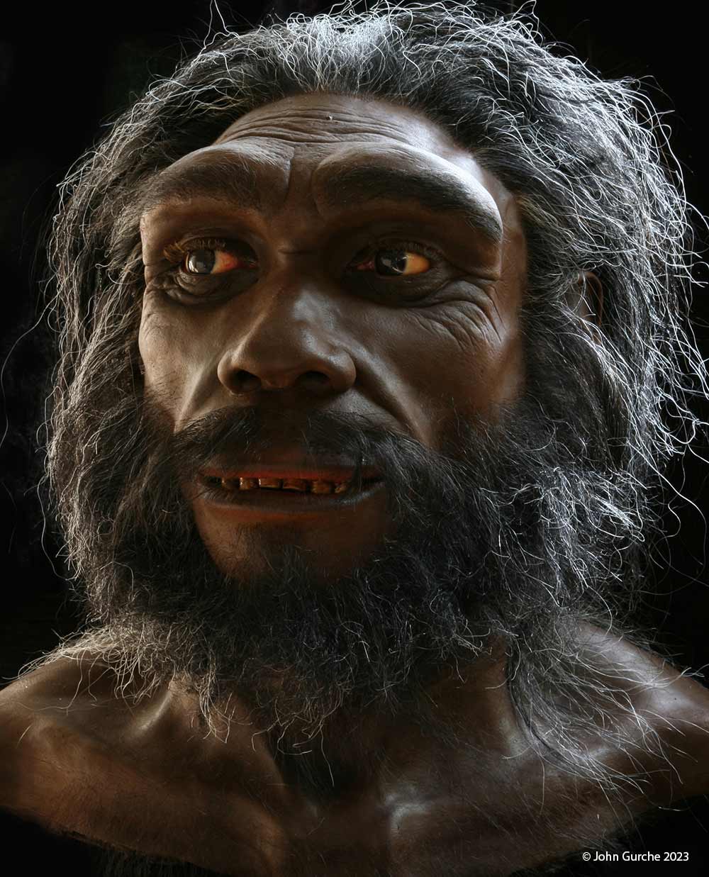 Homo heidelbergensis Gurche reconstruction