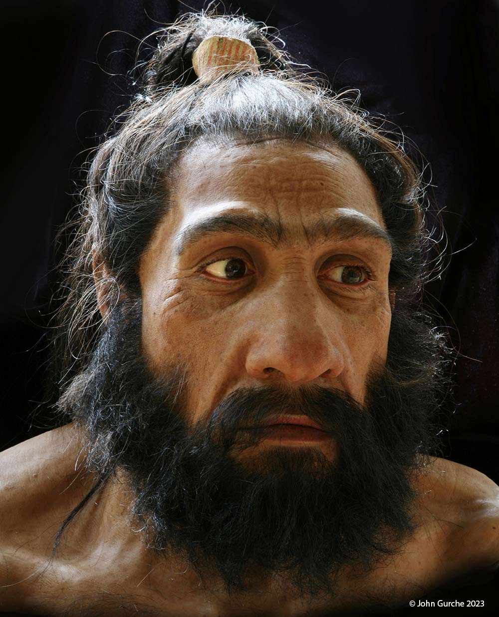 Homo neanderthalensis Gurche reconstruction