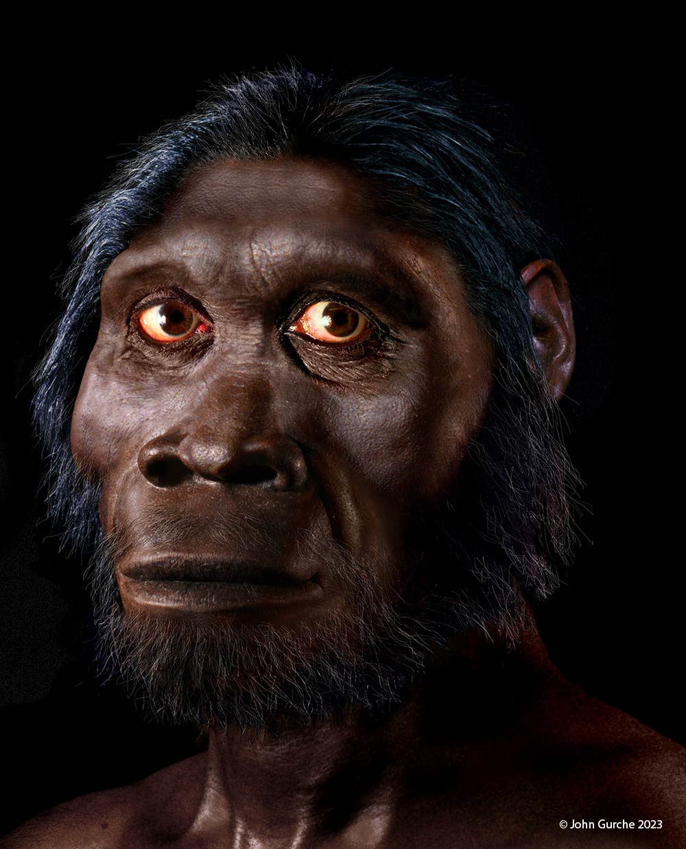 Homo rudolfensis Gurche reconstruction