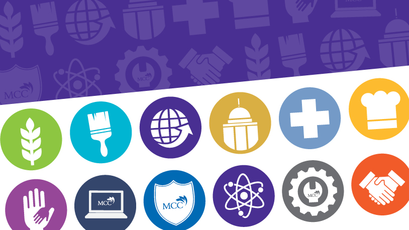 icons representing the 12 clusters of pathways