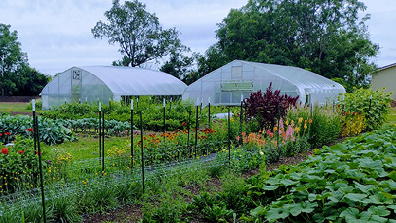 The green houses on the MCC Student Farm in late August with flowers blooming