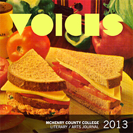 2013 Voices cover image