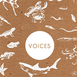2015 Voices cover image
