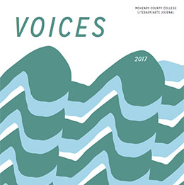 2017 Voices cover image
