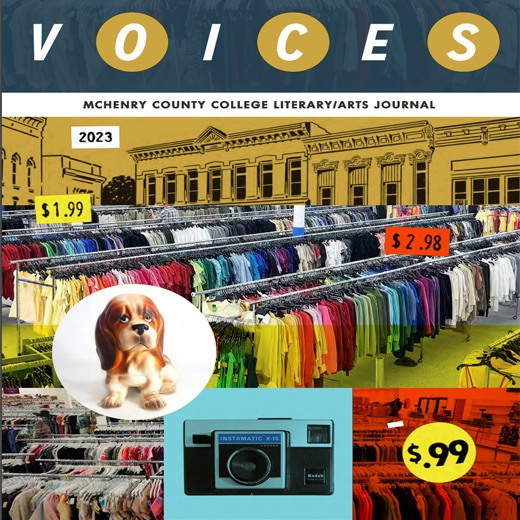 2023 Voices cover image